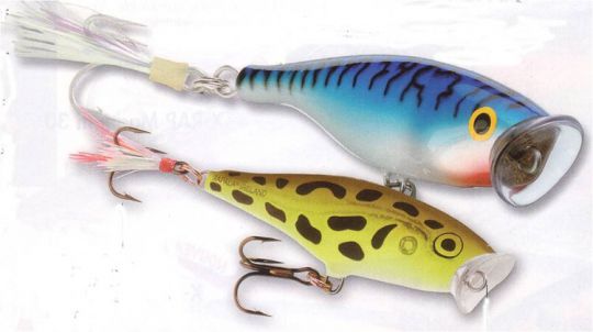 Pêche au popper