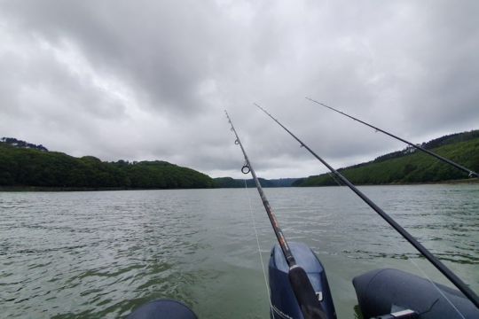 Pêche de l'émissole