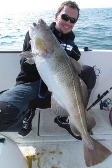 Morue prise au shad.