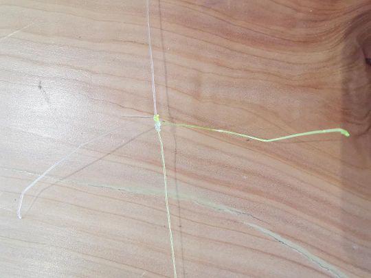 Connecting 2 nylons: the barrel knot for fishing line of similar