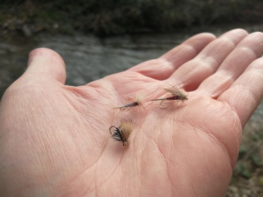 choix-mouche-seche