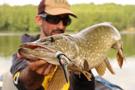 Choosing the right lures for early season pike fishing