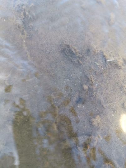 Trou de couteau en forme de 8