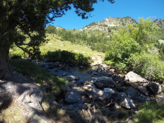 Un cadre magnifique pour la pêche