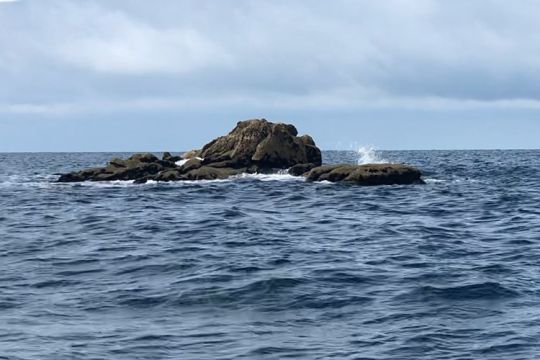 Pêcher au pied des roches