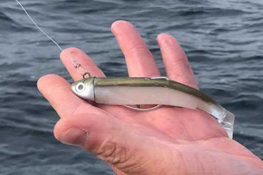 Le Black Minnow avec son hameçon Texan