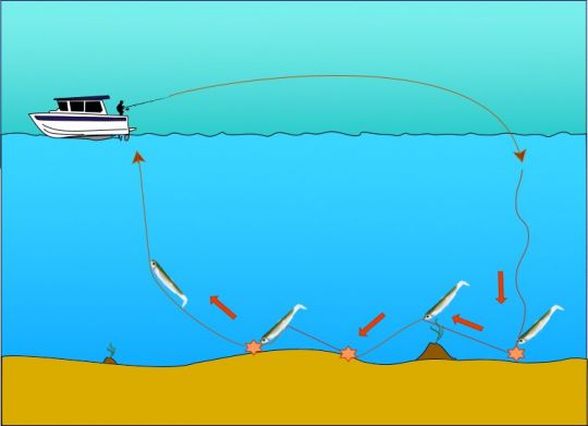 Pêche à gratter, une animation simple