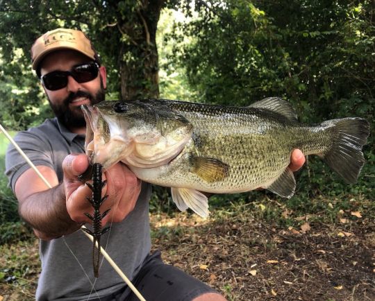 Approche "Finesse" en Weightless Nose Rig pour un poisson trapu !