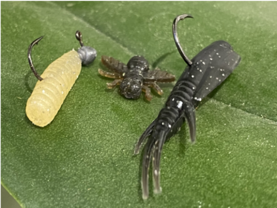 Leurres souples imitant larve, insecte et créature.