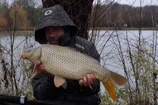 Carp fishing with stick, an efficient winter strategy !