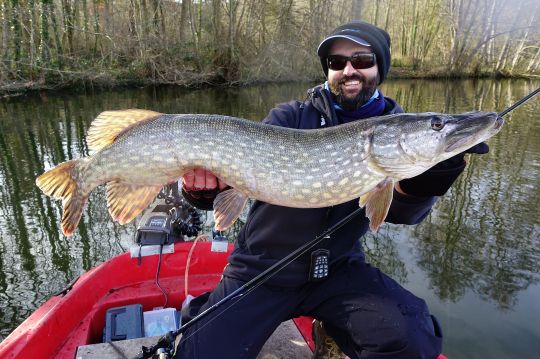 Brochet d'hiver pris sur un rubber Jig.