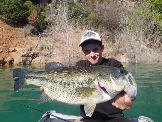 Une berge très abrupte, des grands arbres noyés, de l'eau claire. L'environnement idéal pour un jerkbait.