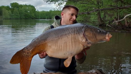 Un même poisson pour deux styles photographiques différents. Une préférence ?