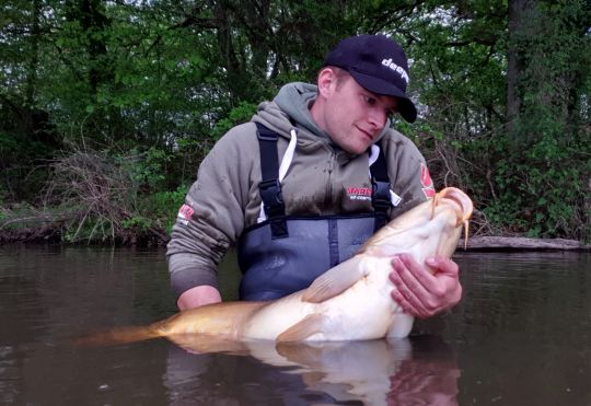 On s'approche du but avec ces deux poissons.