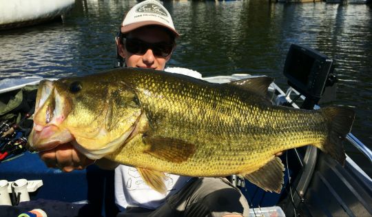Un bass de 2.4kg, qui aura craqué pour un Dolive Shot en pleine canicule.