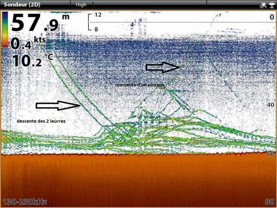 Capture d'écran où l'on voit les leurres descendre sur un banc de lieus actifs.