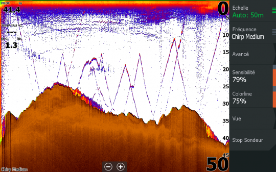 En utilisant une fréquence de 200 KHZ, vous verrez votre leur lors des pêche en verticale.