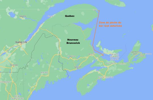 Quebec and New Brunswick, two destinations for striped bass fishing
