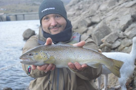 C'est au tour de Cyril de débloquer son compteur avec cette jolie truite prise sur une petite ondulante Nories.