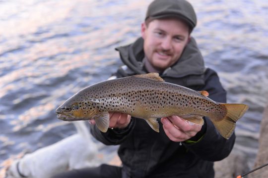 Poisson ! pour Kévin juste avant la pause café.
