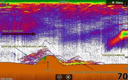 Capture de lieus sur épave tirée d'un sondeur Lowrance HDS 9.