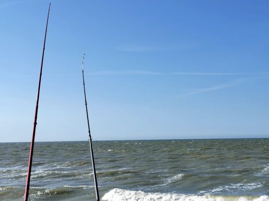 Surfcasting: put all the chances on your side by fishing with two rods!