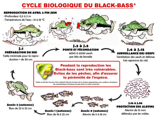 Panneau de sensibilisation de l'association Black-Bass France.