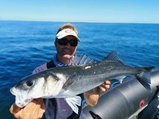 Un joli poisson capturé grâce à une animation très rapide alors que les bars étaient sur off !