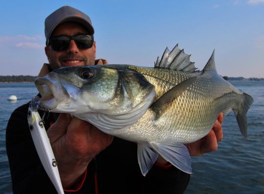 Pour prospecter de grandes étendues, le poisson  nageur est l'arme idéale !