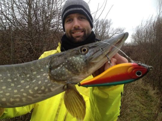 Le brochet est un poisson particulièrement sensible au vent. Dans ces conditions, les jerkbaits sont souvent très efficaces !