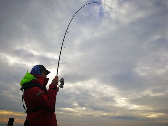 Hormis le transport, les cannes monobrin ne présentent que des avantages.