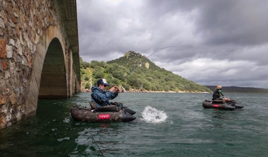 Sous le célèbre pont