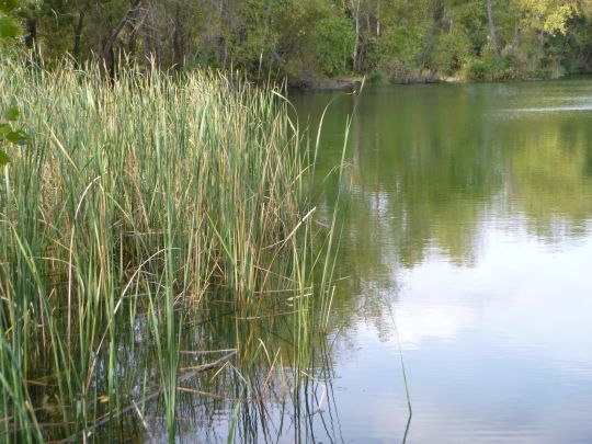 Des eaux calmes et chaudes