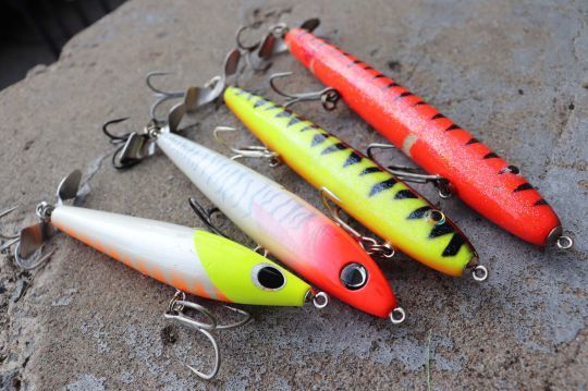 Les propbaits, le leurre de référence pour la pêche du peacok bass.