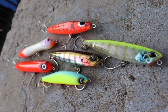 Les stickbaits sont indispensables pour pêcher le peacock bass.