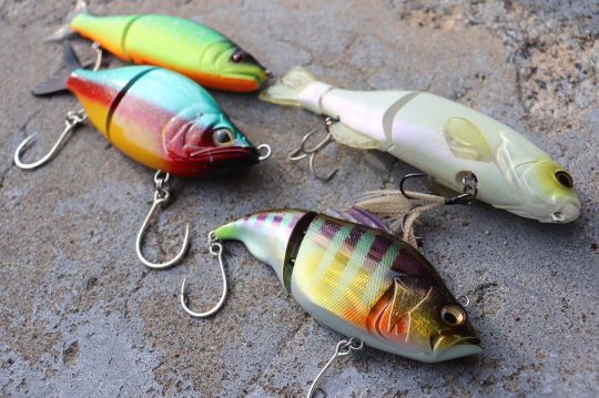 Les hard swimbaits fonctionnent bien pour pêcher les peacock bass.