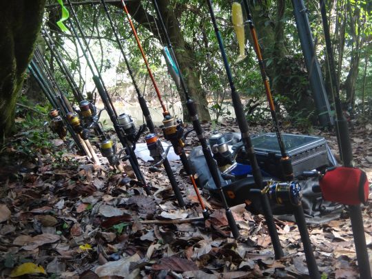 Pour certains le matériel est le prolongement de l'acte et est une réelle source de plaisir dans la pêche.