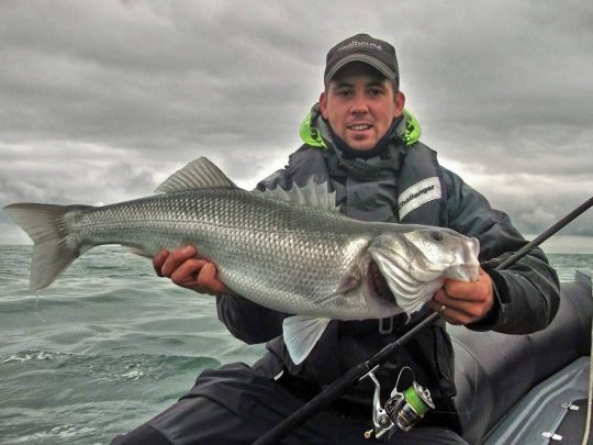 En laissant votre shad nager dans les veines de fort courant vous aurez surement la chance de croiser la route de jolis bars comme celui-ci ayant succombé à un Nitro Shad 150 coloris Blue Herring