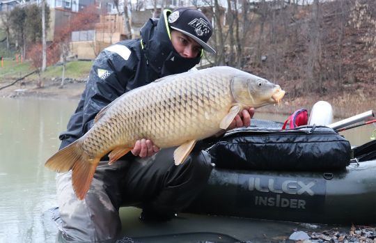 Les carpes et les dorÃ©s frÃ©quentent les mÃªmes zones.