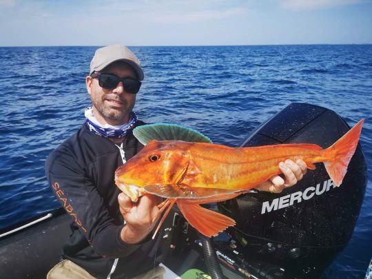 Chez toutes les espèces, il existe des poissons hors norme.