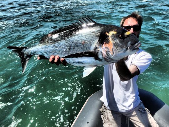 La prises régulière de gros poissons demandent de la méthode et de la motivation.