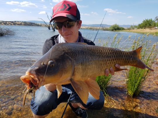 Carp fishing with lures, a technique not often used