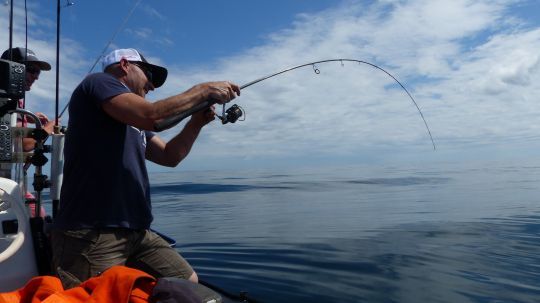 Un des rôles des anneaux d'une canne est de permettre à celle ci de travailler le plus efficacement possible dans toutes les phases de la pêche.