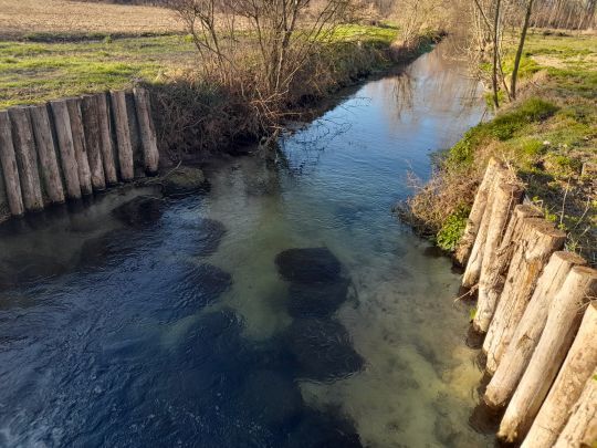 Ruisseau propice aux vairons 