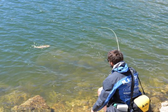 En lac, la tresse permet de lancer loin tout en garantissant la perception des touches