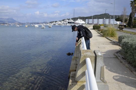 Une zone idéale pour trouver de beaux spécimens