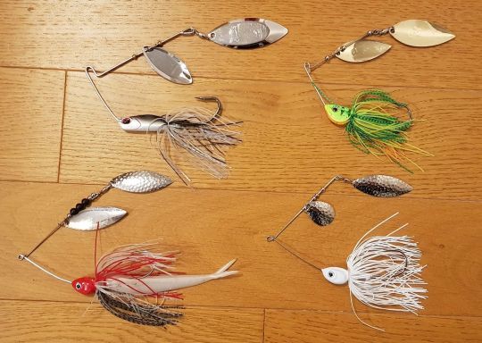 Le spinnerbait, un leurre efficace pour pêcher le peacock bass.