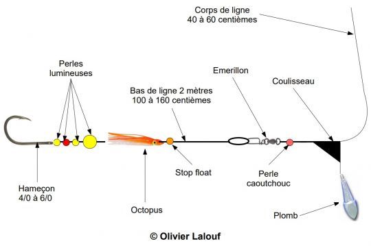 Bas de ligne pour congres 