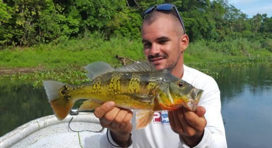 Le fameux peacock-bass