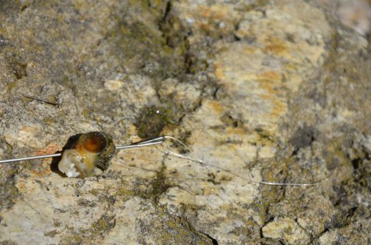 Utiliser une aiguille à locher